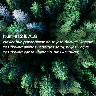 Picture 02 - Numrat 2:18 ALB - Në krahun perëndimor do të jetë flamuri i - Bible Verse Picture