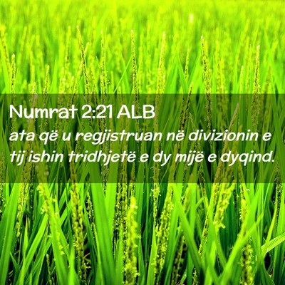 Picture 02 - Numrat 2:21 ALB - ata që u regjistruan në divizionin e tij ishin - Bible Verse Picture