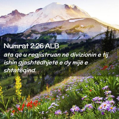 Picture 02 - Numrat 2:26 ALB - ata që u regjistruan në divizionin e tij ishin - Bible Verse Picture
