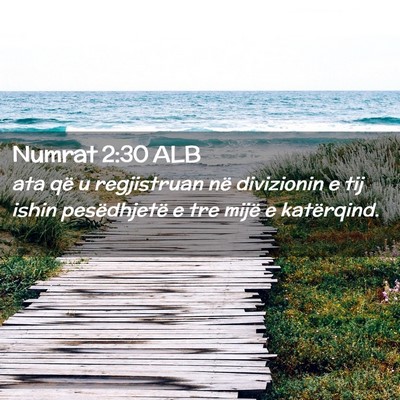 Picture 02 - Numrat 2:30 ALB - ata që u regjistruan në divizionin e tij ishin - Bible Verse Picture