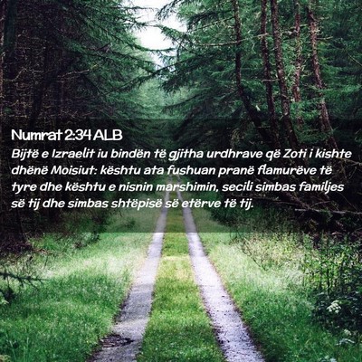 Picture 02 - Numrat 2:34 ALB - Bijtë e Izraelit iu bindën të gjitha urdhrave - Bible Verse Picture