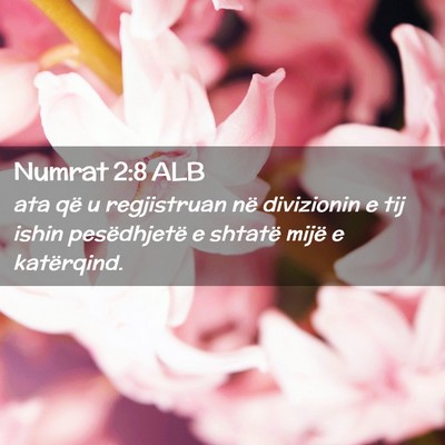 Picture 02 - Numrat 2:8 ALB - ata që u regjistruan në divizionin e tij ishin - Bible Verse Picture