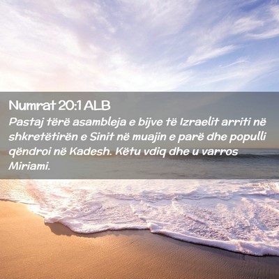 Picture 02 - Numrat 20:1 ALB - Pastaj tërë asambleja e bijve të Izraelit - Bible Verse Picture