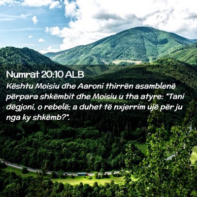 Picture 02 - Numrat 20:10 ALB - Kështu Moisiu dhe Aaroni thirrën asamblenë - Bible Verse Picture