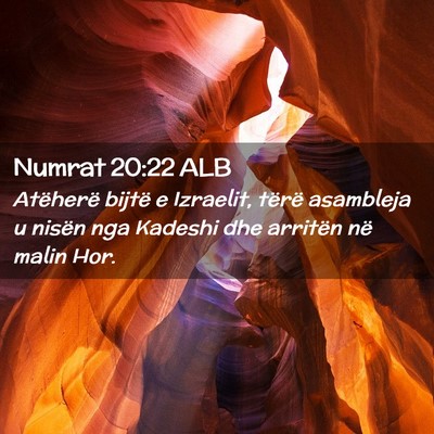 Picture 02 - Numrat 20:22 ALB - Atëherë bijtë e Izraelit, tërë asambleja u - Bible Verse Picture