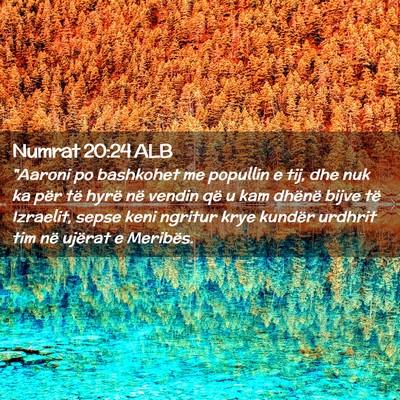 Picture 02 - Numrat 20:24 ALB - 
