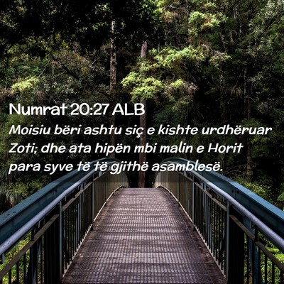 Picture 02 - Numrat 20:27 ALB - Moisiu bëri ashtu siç e kishte urdhëruar Zoti; - Bible Verse Picture