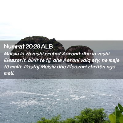 Picture 02 - Numrat 20:28 ALB - Moisiu ia zhveshi rrobat Aaronit dhe ia veshi - Bible Verse Picture