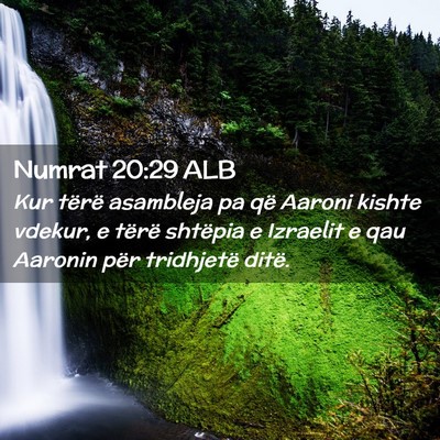 Picture 02 - Numrat 20:29 ALB - Kur tërë asambleja pa që Aaroni kishte vdekur, - Bible Verse Picture