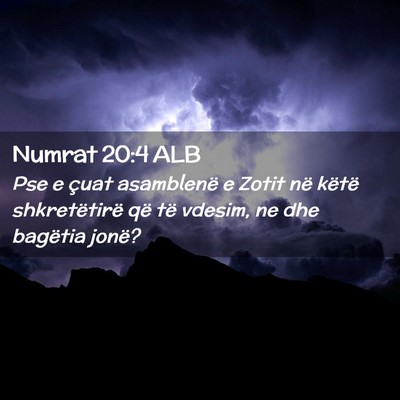 Picture 02 - Numrat 20:4 ALB - Pse e çuat asamblenë e Zotit në këtë - Bible Verse Picture