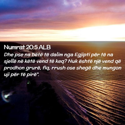 Picture 02 - Numrat 20:5 ALB - Dhe pse na bëtë të dalim nga Egjipti për të - Bible Verse Picture