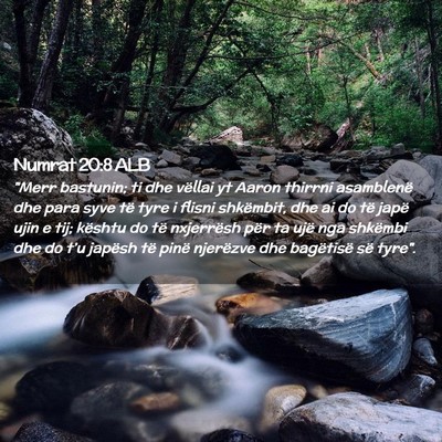 Picture 02 - Numrat 20:8 ALB - 