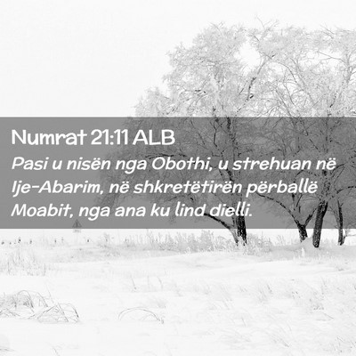 Picture 02 - Numrat 21:11 ALB - Pasi u nisën nga Obothi, u strehuan në - Bible Verse Picture