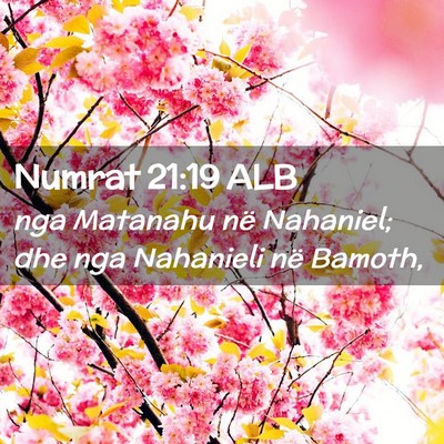 Picture 02 - Numrat 21:19 ALB - nga Matanahu në Nahaniel; dhe nga Nahanieli në - Bible Verse Picture