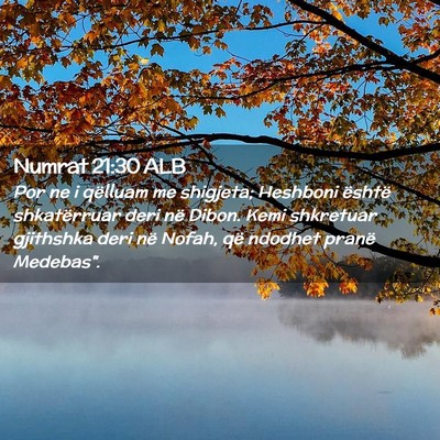 Picture 02 - Numrat 21:30 ALB - Por ne i qëlluam me shigjeta; Heshboni është - Bible Verse Picture
