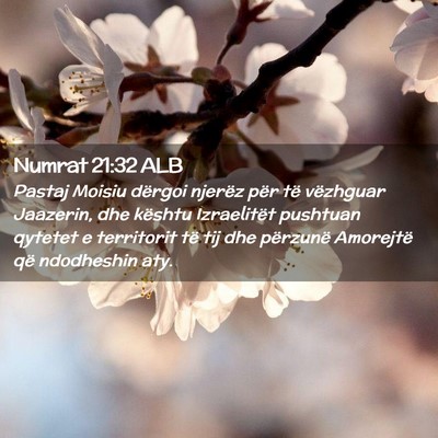 Picture 02 - Numrat 21:32 ALB - Pastaj Moisiu dërgoi njerëz për të vëzhguar - Bible Verse Picture