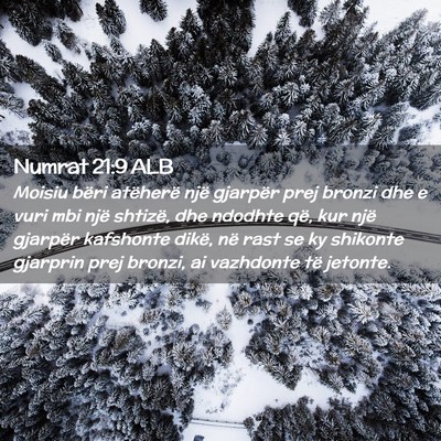 Picture 02 - Numrat 21:9 ALB - Moisiu bëri atëherë një gjarpër prej bronzi - Bible Verse Picture