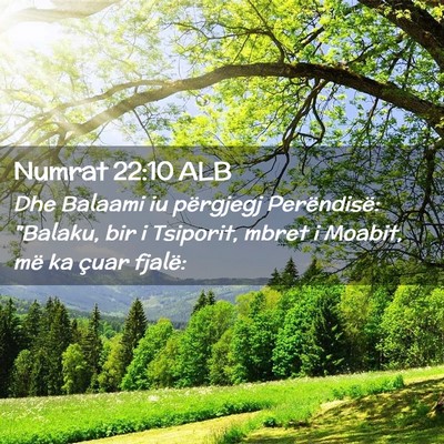 Picture 02 - Numrat 22:10 ALB - Dhe Balaami iu përgjegj Perëndisë: 