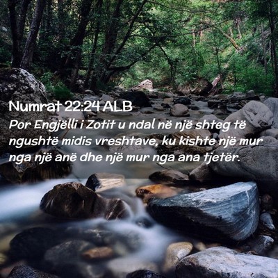 Picture 02 - Numrat 22:24 ALB - Por Engjëlli i Zotit u ndal në një shteg të - Bible Verse Picture