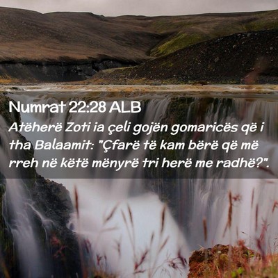 Picture 02 - Numrat 22:28 ALB - Atëherë Zoti ia çeli gojën gomaricës që i - Bible Verse Picture