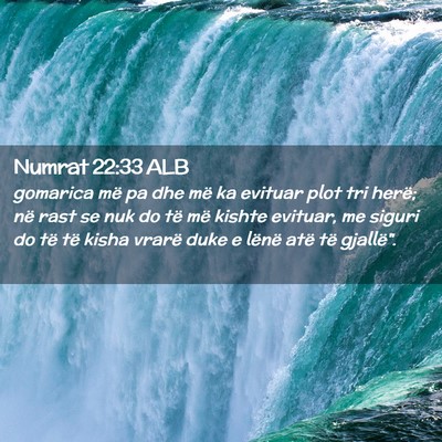 Picture 02 - Numrat 22:33 ALB - gomarica më pa dhe më ka evituar plot tri - Bible Verse Picture
