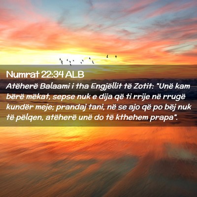 Picture 02 - Numrat 22:34 ALB - Atëherë Balaami i tha Engjëllit të Zotit: - Bible Verse Picture