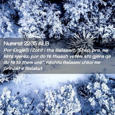 Picture 02 - Numrat 22:35 ALB - Por Engjëlli i Zotit i tha Balaamit: 