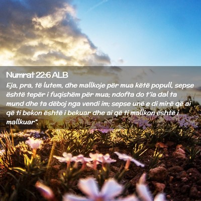 Picture 02 - Numrat 22:6 ALB - Eja, pra, të lutem, dhe mallkoje për mua këtë - Bible Verse Picture