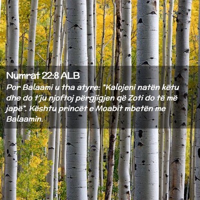 Picture 02 - Numrat 22:8 ALB - Por Balaami u tha atyre: 