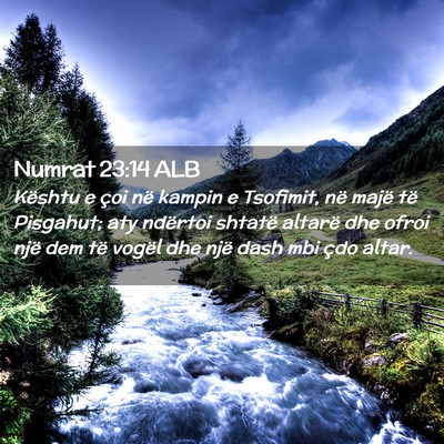 Picture 02 - Numrat 23:14 ALB - Kështu e çoi në kampin e Tsofimit, në majë - Bible Verse Picture