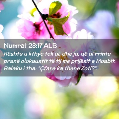 Picture 02 - Numrat 23:17 ALB - Kështu u kthye tek ai, dhe ja, që ai rrinte - Bible Verse Picture