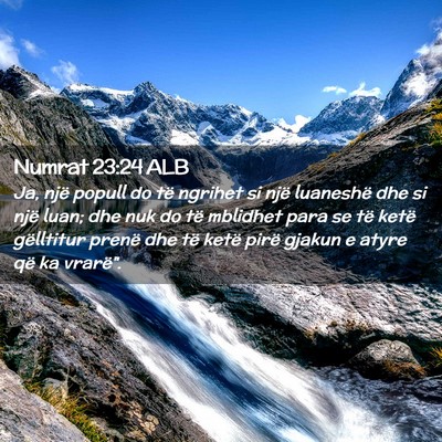 Picture 02 - Numrat 23:24 ALB - Ja, një popull do të ngrihet si një luaneshë - Bible Verse Picture