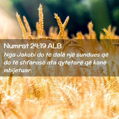 Picture 02 - Numrat 24:19 ALB - Nga Jakobi do të dalë një sundues që do të - Bible Verse Picture