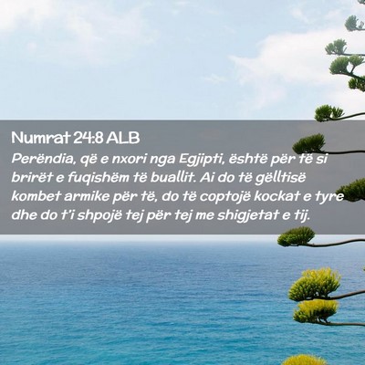 Picture 02 - Numrat 24:8 ALB - Perëndia, që e nxori nga Egjipti, është për - Bible Verse Picture