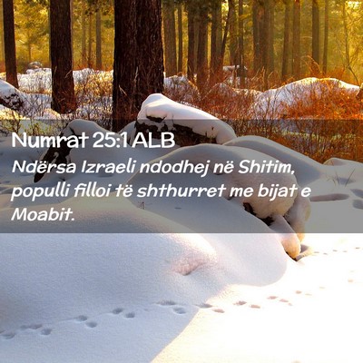 Picture 02 - Numrat 25:1 ALB - Ndërsa Izraeli ndodhej në Shitim, populli - Bible Verse Picture