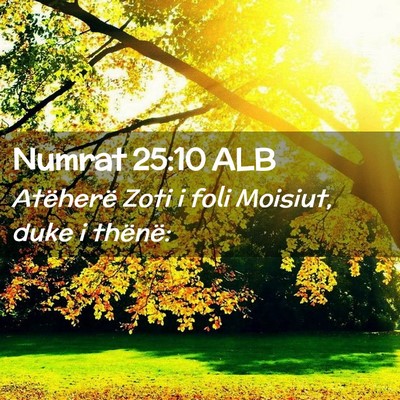 Picture 02 - Numrat 25:10 ALB - Atëherë Zoti i foli Moisiut, duke i - Bible Verse Picture
