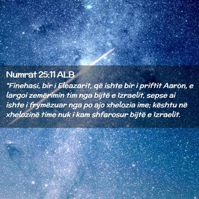 Picture 02 - Numrat 25:11 ALB - 
