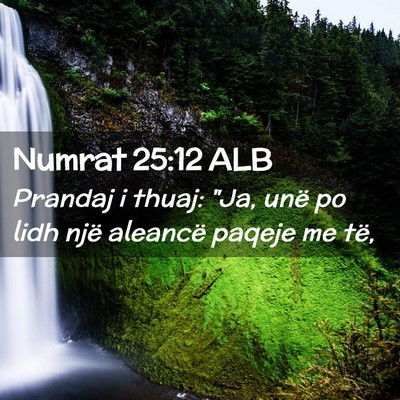 Picture 02 - Numrat 25:12 ALB - Prandaj i thuaj: 