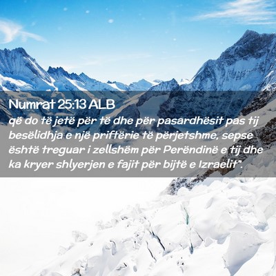 Picture 02 - Numrat 25:13 ALB - që do të jetë për të dhe për pasardhësit - Bible Verse Picture