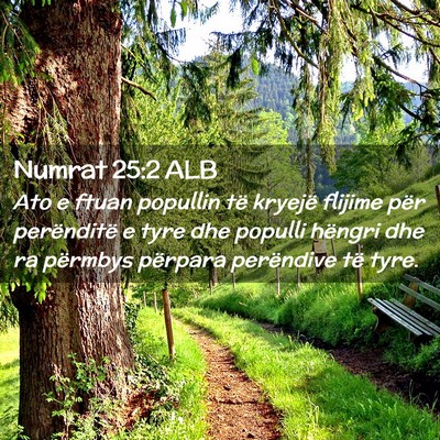 Picture 02 - Numrat 25:2 ALB - Ato e ftuan popullin të kryejë flijime për - Bible Verse Picture