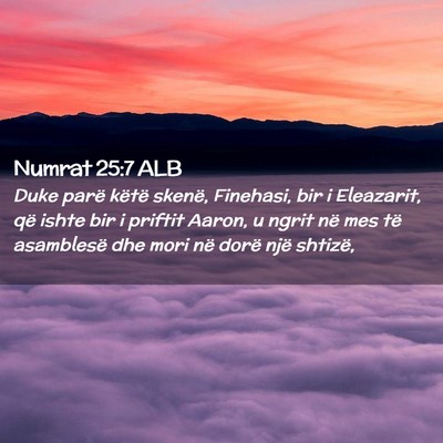 Picture 02 - Numrat 25:7 ALB - Duke parë këtë skenë, Finehasi, bir i - Bible Verse Picture