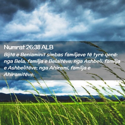 Picture 02 - Numrat 26:38 ALB - Bijtë e Beniaminit simbas familjeve të tyre - Bible Verse Picture