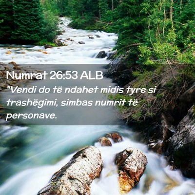 Picture 02 - Numrat 26:53 ALB - 