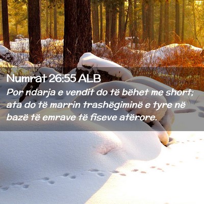 Picture 02 - Numrat 26:55 ALB - Por ndarja e vendit do të bëhet me short; ata - Bible Verse Picture