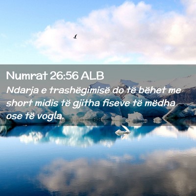 Picture 02 - Numrat 26:56 ALB - Ndarja e trashëgimisë do të bëhet me short - Bible Verse Picture