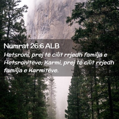 Picture 02 - Numrat 26:6 ALB - Hetsroni, prej të cilit rrjedh familja e - Bible Verse Picture