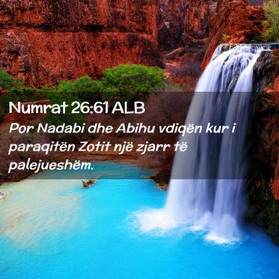 Picture 02 - Numrat 26:61 ALB - Por Nadabi dhe Abihu vdiqën kur i paraqitën - Bible Verse Picture