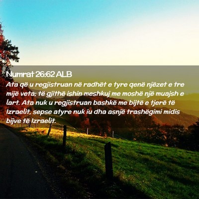 Picture 02 - Numrat 26:62 ALB - Ata që u regjistruan në radhët e tyre qenë - Bible Verse Picture