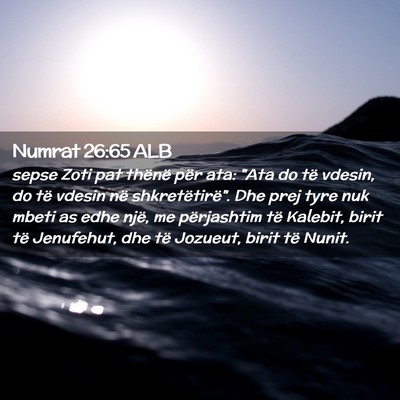 Picture 02 - Numrat 26:65 ALB - sepse Zoti pat thënë për ata: 