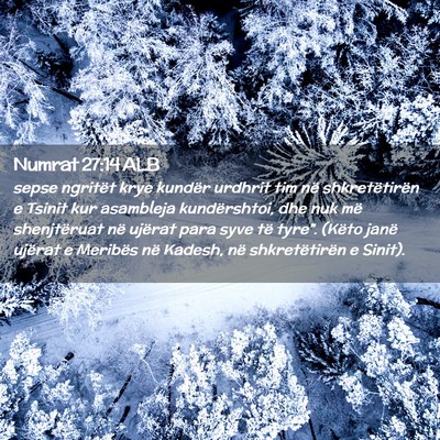 Picture 02 - Numrat 27:14 ALB - sepse ngritët krye kundër urdhrit tim në - Bible Verse Picture
